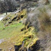  Cajas National Park